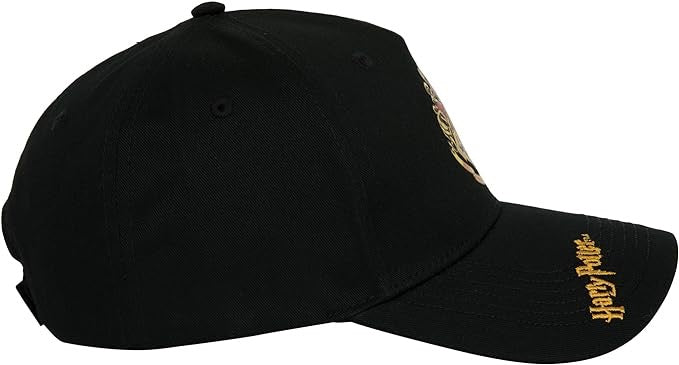Gorra Hogwarts / Harry Potter