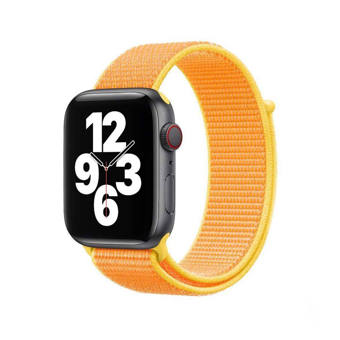 Banda de Velcro: 42,44,45 y 49 mm